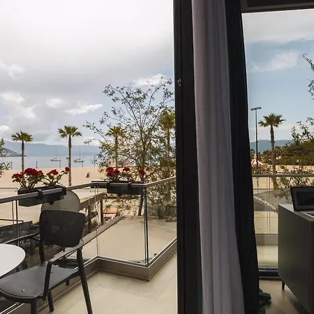 Dot Tradition Vlorë