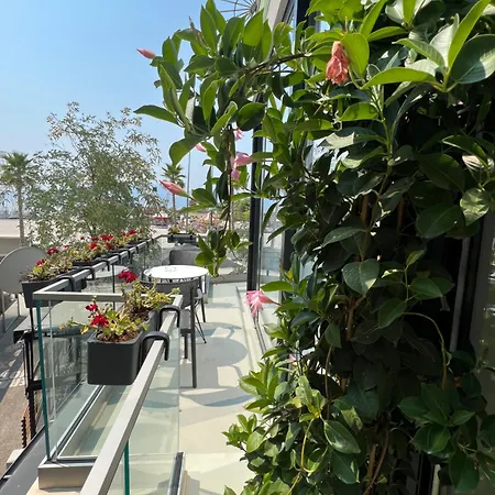 Dot Tradition * Wlora